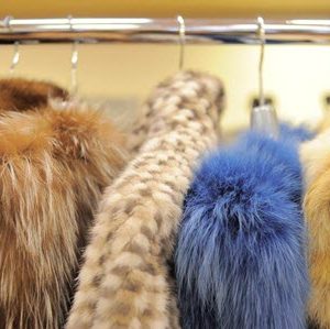 Fur Vests, Jackets and Coats